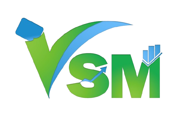 VSM logo
